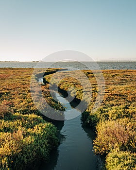 Wetlands at Baylands Nature Preserve, in Palo Alto, California