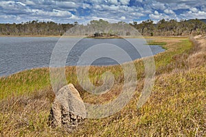 Wetlands billabong Australian swamp
