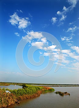 Wetlands and blue sky photo