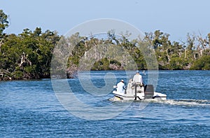 Wetlands Boating photo