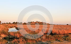 Wetlands of Castiglione della Pescaia, Italy