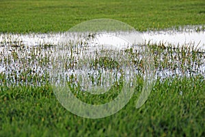 Wetlands flooding pitch grass water waterlogged damp downpour