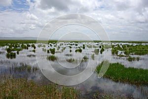 Wetlands in Gannan