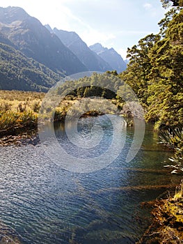 Wetlands in a glacial valley at Fiordland national park