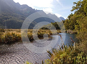 Wetlands in a glacial valley at Fiordland national park