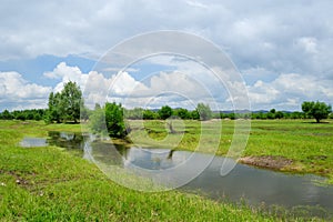 WETLANDs landscape