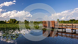Wetlands landscape with a bird blind and cloudy sky reflected in a la6ke