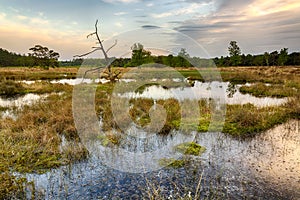 Wetlands and moorland on the national park Groote Zand near Hooghalen Drenthe during sunset