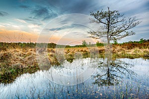 Wetlands and moorland on the national park Groote Zand near Hooghalen Drenthe during sunset