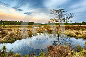 Wetlands and moorland on the national park Groote Zand near Hooghalen Drenthe during sunset