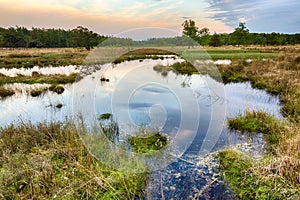 Wetlands and moorland on the national park Groote Zand near Hooghalen Drenthe during sunset