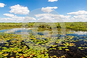 Wetlands in Nature Reserve Esteros del Ibera