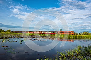 Wetlands in Nature Reserve with train , Fertile swamp and various biology in nature