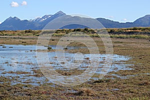 Wetlands near the Kachemak Bay photo