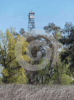 Wetlands observation tower