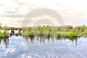 Wetlands at Rayong Provincial East Plant Center During Sunset