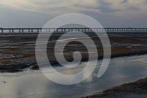 Wetlands of the river, the longest bridge in the world by the hangzhou bay