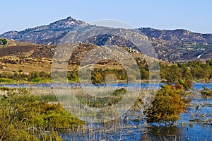 Wetlands, San Diego County, California photo