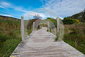 Wetlands in Tower Hill Reserve, Australia