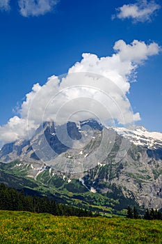 Wetterhorn, Bernese Alps, Switzerland photo