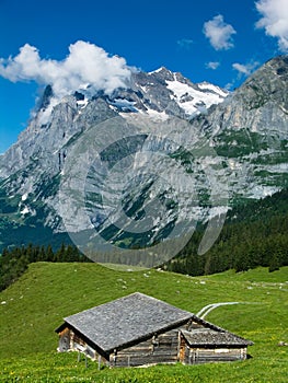 Wetterhorn landscape in Switzerland Alps photo