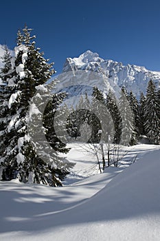 Wetterhorn in winter photo