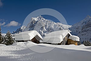 Wetterhorn in winter photo