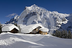 Wetterhorn in winter photo