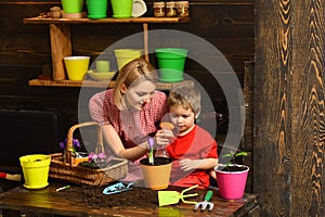 Wetting concept. Woman and little child wetting green plant with water spray. Wetting with water. Wetting plant foliage