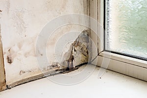 Wetting and growth of molds of window slope near plastic window and windowsill