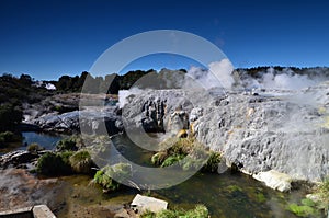 Whakarewarewa Valley of Geysers in New Zelandii.Geotermalny park