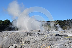 Whakarewarewa Valley of Geysers in New Zelandii.Geotermalny park