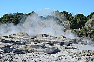 Whakarewarewa Valley of Geysers in New Zelandii.Geotermalny park