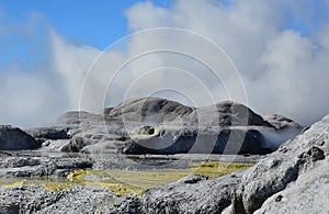 Whakarewarewa Valley of Geysers. New Zelandiiya.Geotermalny park