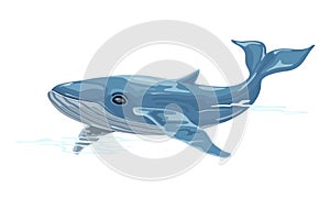 Whale is aquatic placental marine mammal with streamlined fusiform bodies and two flippers.