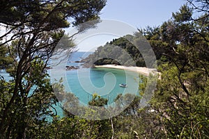 Whale Bay at the Tutukaka coast in New Zealand