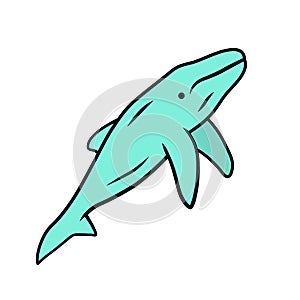 Whale blue color icon. Marine mammal. Underwater world inhabitant. Ocean predator. Aquatic animal, wildlife nature