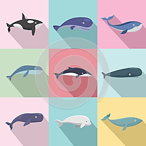Whale blue tale fish icons set, flat style