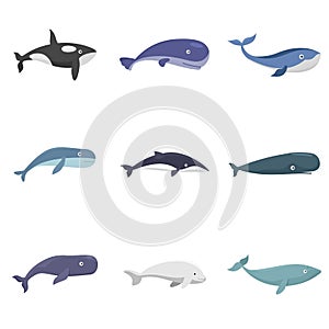 Whale blue tale fish icons set isolated