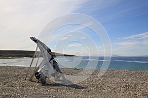 Whale bone on a rocky shore near Igloolik