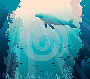 Whale, coral reef and sea. Underwater vector.