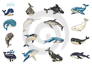 Whale icons set, cartoon style