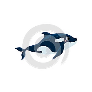 Whale killer or orca marine mammal, flat cartoon vector illustration isolated.