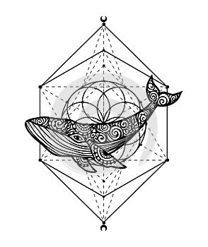 Whale mandala. Vector illustration. Whale sea animal in Zen style