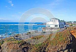 Whale Observation Center