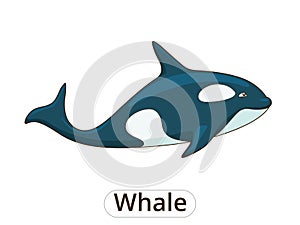 Whale orca cartoon vector illustration