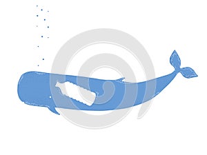 Whale with plastic bottle in stomach