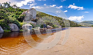 Whale Rock and Tidal River.