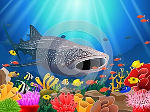 Whale shark cartoon with underwater view