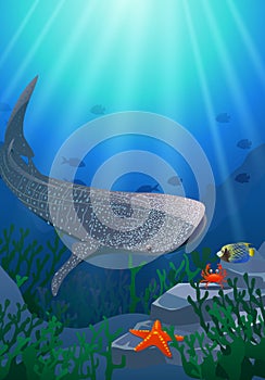 Whale shark cartoon with underwater view and coral background